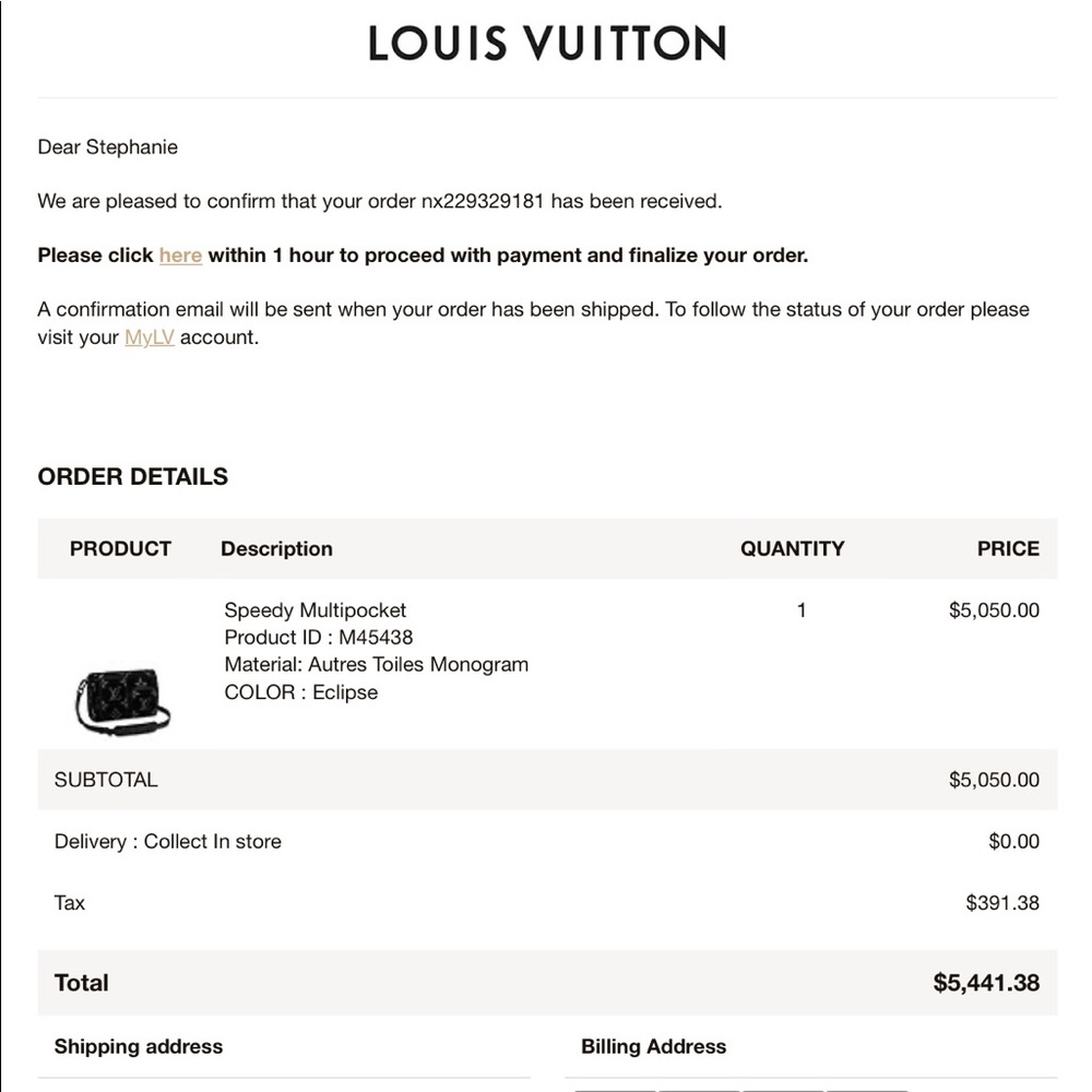 Louis Vuitton Multipocket (LIMITED) - Picture 15 of 16